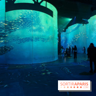 Plongez à la découverte de Planète Océan, l’exposition immersive de l’Atelier des Lumières