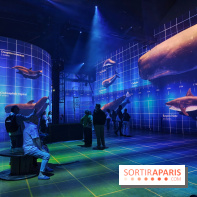Plongez à la découverte de Planète Océan, l’exposition immersive de l’Atelier des Lumières