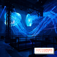 Plongez à la découverte de Planète Océan, l’exposition immersive de l’Atelier des Lumières