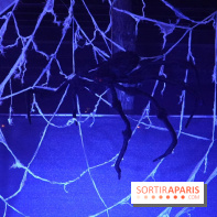 Parc de l'Étrange 2026 : Araignée géante dans une toile lumineuse bleue