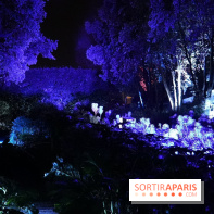 Parc de l'Étrange 2026 : Jardin nocturne sous éclairage violet et bleu