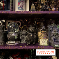 Boutique d'Halloween "Y'en a que pour lui"