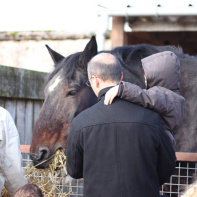 la fête du goût à la ferme de Gally
