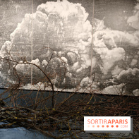 Semons nos résistances : l'exposition engagée à découvrir gratuitement au Maif Social Club