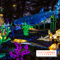 Thoiry Lumières Sauvages 2026 : Sur les traces de Pachamama - photos