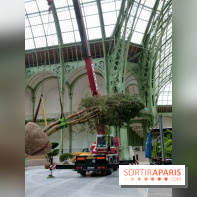 L'art du Jardin au Grand Palais