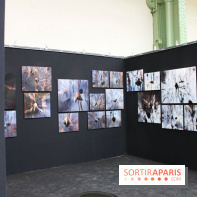 L'Art du Jardin au Grand Palais