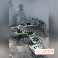 L'Art du Jardin au Grand Palais