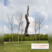 Penone au Château de Versailles, Elevazione | Élévation, 2011