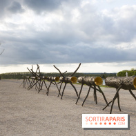 Penone au Château de Versailles, Spazio di luce | Espace de lumière