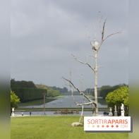 Penone au Château de Versailles, Triplice | Triple