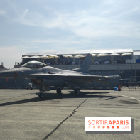 Salon International de l'Aéronautique et de l'Espace du Bourget 2013 - 113132
