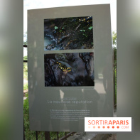 Exposition Planète Grenouille par Cyril Ruoso au Jardin des Plantes