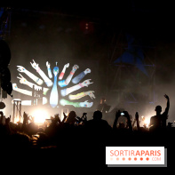 The Peacock Society 2013