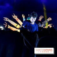 The Peacock Society 2013