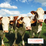 Les labyrinthes de la Ferme de Gally