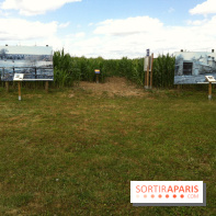 Les Labyrinthes de Gally