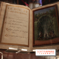 Le labyrinthe de Versailles : Manuscrit et gravures de Sébastien Leclerc, enluminées par Jacques Bailly