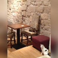Le Café des Chats à Paris