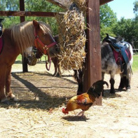 parc hérouval, gisors, parc d'attractions