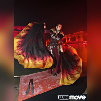 La Nuit des Ambassadeurs 2013 : Le Tournoi des XVI Royaumes