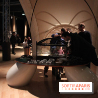 Mille milliards de fourmis au Palais de la Découverte