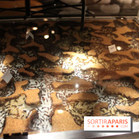 Mille milliards de fourmis au Palais de la Découverte