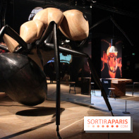 Mille milliards de fourmis au Palais de la Découverte