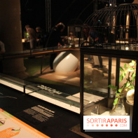 Mille milliards de fourmis au Palais de la Découverte