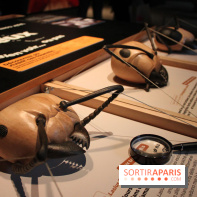 Mille milliards de fourmis au Palais de la Découverte