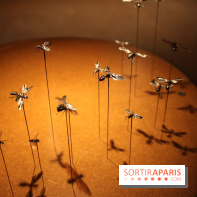 Mille milliards de fourmis au Palais de la Découverte