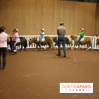 Kidexpo 2013, Poney