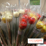 Salon du Chocolat 2013 - Paris Expo Porte de Versailles