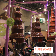 Salon du chocolat 2013 : fontaine de chocolat