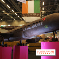Salon du chocolat 2013: Avion en chocolat