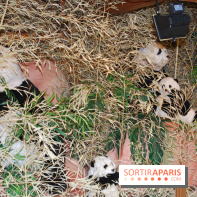 Marché de Noël des Champs-Elysées 2013