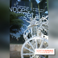 Noces Végétale au Jardin des Plantes : la calèche