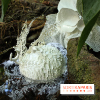 Noces Végétale au Jardin des Plantes : ilots