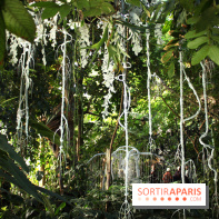 Noces Végétale au Jardin des Plantes : portique de dentelle