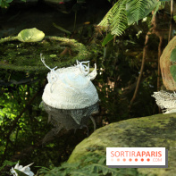 Noces Végétales au Jardin des Plantes