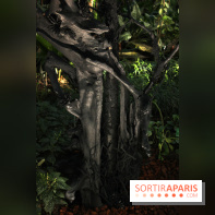 Noces Végétales au Jardin des Plantes : le marié