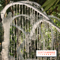 Noces Végétales au Jardin des Plantes : la mariée