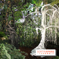 Noces Végétales au Jardin des Plantes