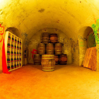 The Victorious Shelter by We Are The Oracle