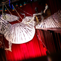 Le Zèbre de Belleville