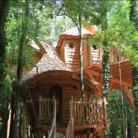 Les cabanes dans les arbles du Moulin
