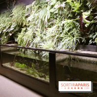 Aquarium de la Porte Dorée à Paris