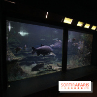 Aquarium de la Porte Dorée à Paris