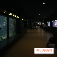 Aquarium de la Porte Dorée à Paris