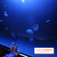 Aquarium de la Porte Dorée à Paris